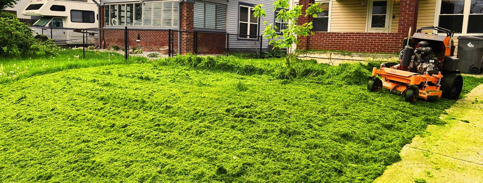 The grass is always greener on
your side of the fence